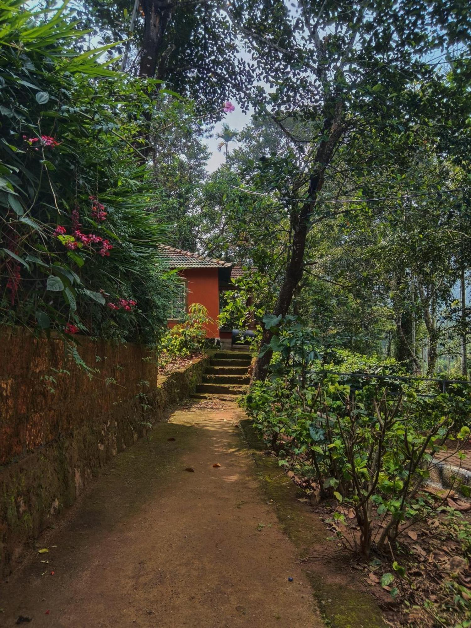 Jungle Valley Ayurvedic Spa Resort Meppādi Exterior foto