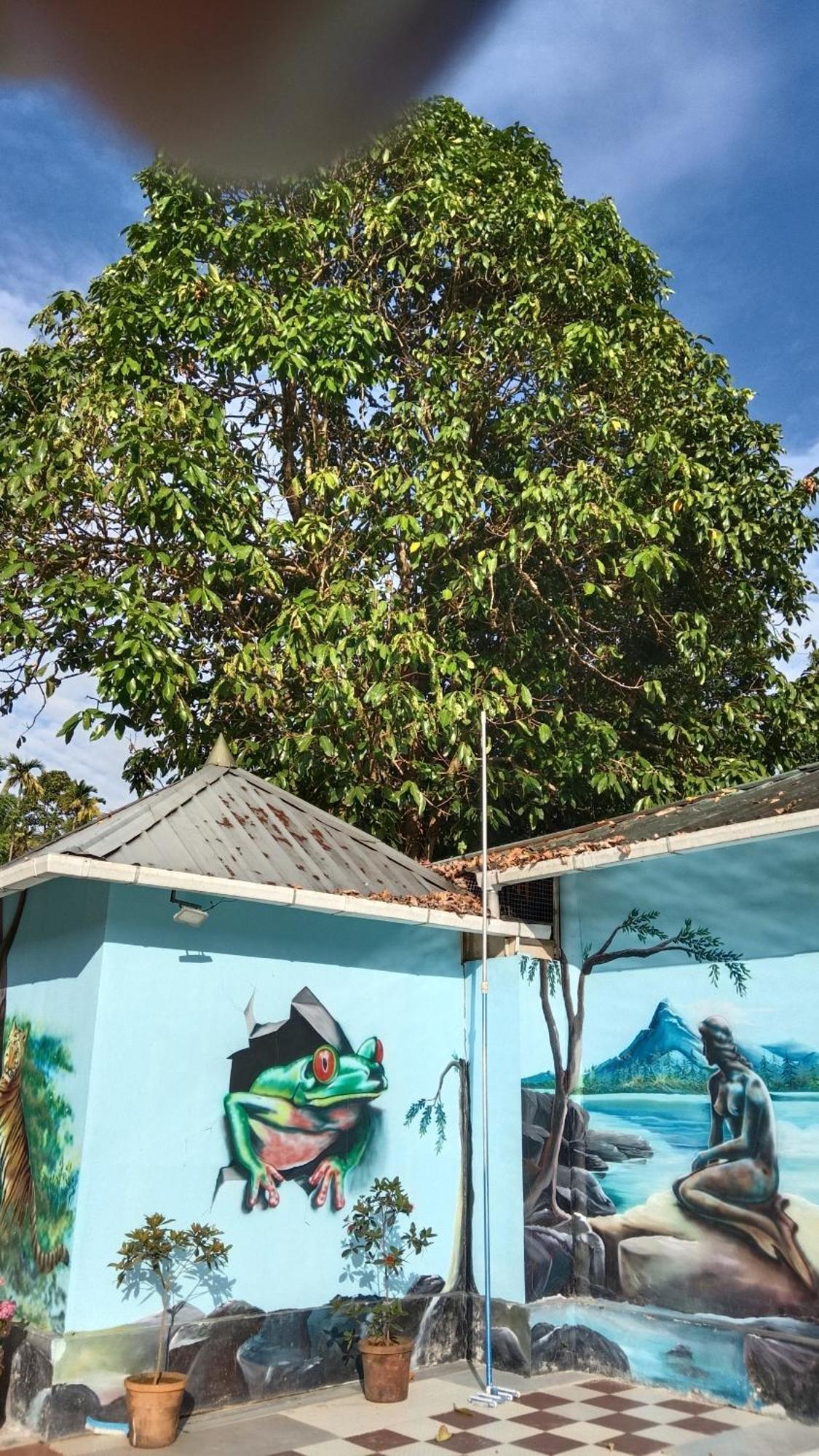 Jungle Valley Ayurvedic Spa Resort Meppādi Exterior foto